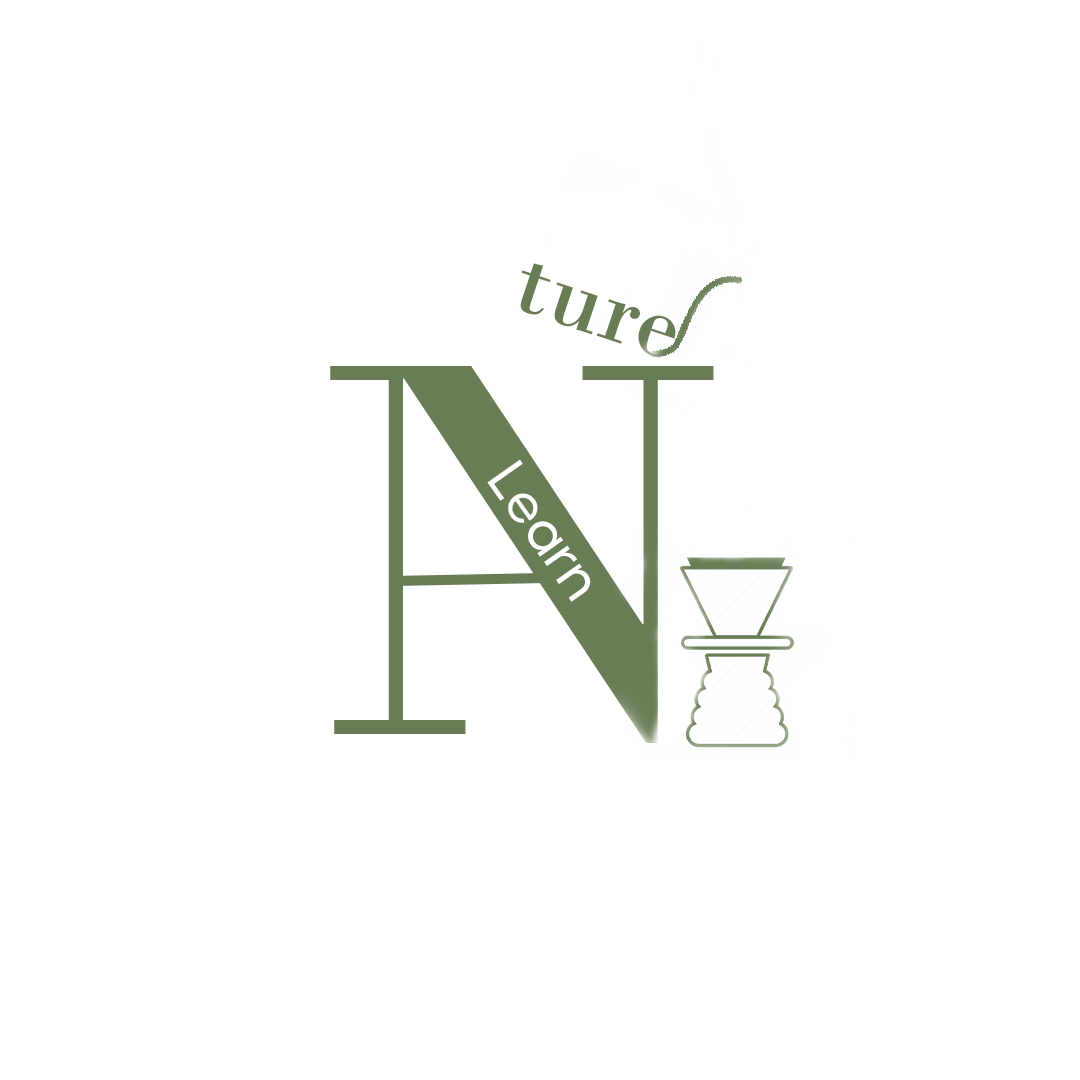 جستجو در گرند بازار