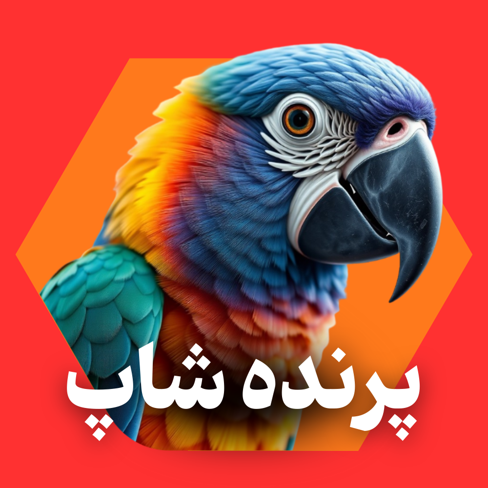 جستجو در گرند بازار