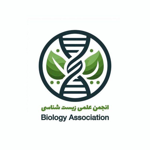 جستجو در گرند بازار