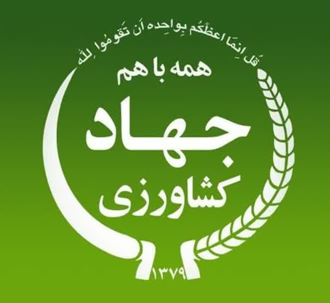 جستجو در گرند بازار