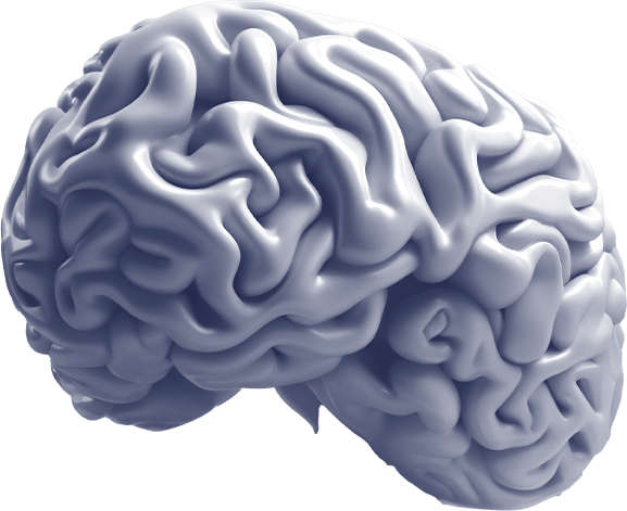 جستجو در گرند بازار