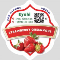 جستجو در گرند بازار