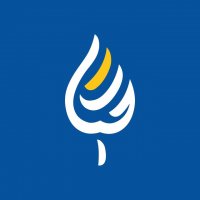 جستجو در گرند بازار