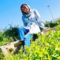 جستجو در گرند بازار