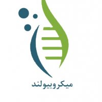 جستجو در گرند بازار