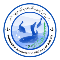 جستجو در گرند بازار