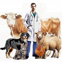 جستجو در گرند بازار