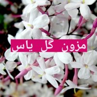 جستجو در گرند بازار