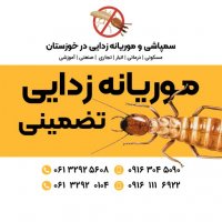 جستجو در گرند بازار
