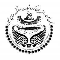 جستجو در گرند بازار