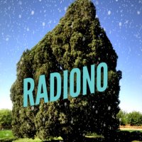 جستجو در گرند بازار