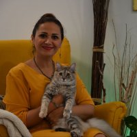 جستجو در گرند بازار