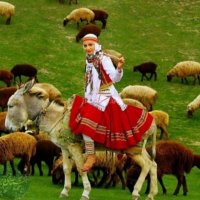 جستجو در گرند بازار