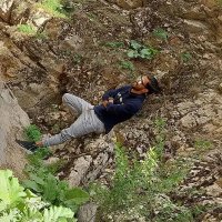 جستجو در گرند بازار