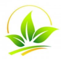 جستجو در گرند بازار