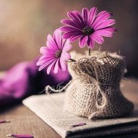 جستجو در گرند بازار