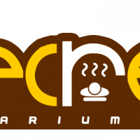 جستجو در گرند بازار