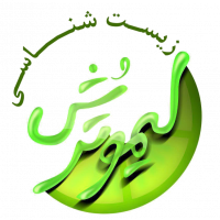 جستجو در گرند بازار