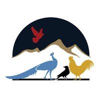 جستجو در گرند بازار