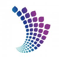 جستجو در گرند بازار