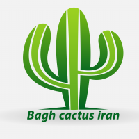 جستجو در گرند بازار