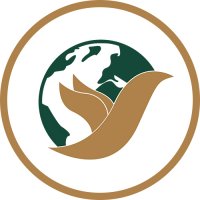 جستجو در گرند بازار