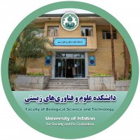 جستجو در گرند بازار