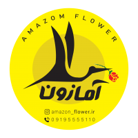 جستجو در گرند بازار