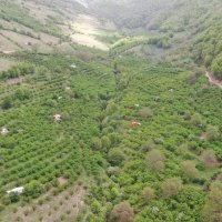 جستجو در گرند بازار