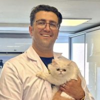 جستجو در گرند بازار