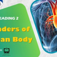 جستجو در گرند بازار