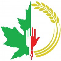 جستجو در گرند بازار