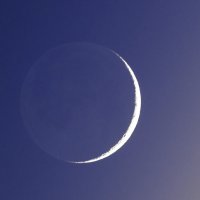 جستجو در گرند بازار