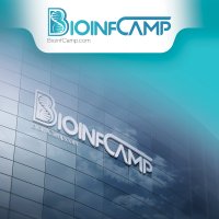 جستجو در گرند بازار